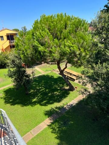Complesso Oasi Daire Tirrenia Dış mekan fotoğraf